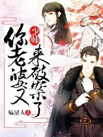 少帅，你老婆又来破案了封面