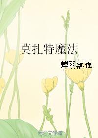 莫扎特魔法封面
