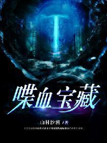 喋血宝藏封面