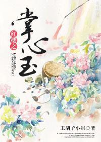 红楼之掌心玉封面