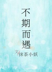 不期而遇封面