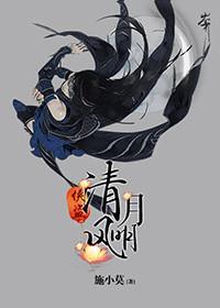 侠盗清风明月封面