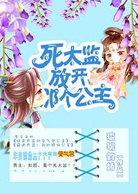 死太监，放开那个公主封面