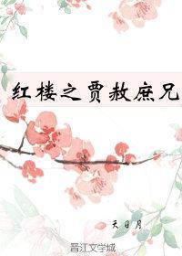 红楼之贾赦庶兄封面