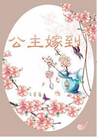 公主嫁到封面