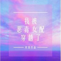 我被恶毒女配穿越了封面