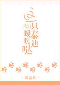 这只泰迪暖暖哒[综]封面