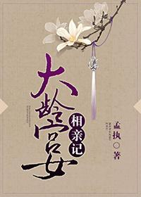 大龄宫女相亲记封面