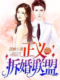 正义拆婚联盟封面