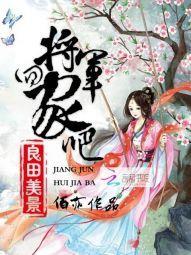 良田美景：将军，回家吧！封面