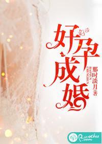 好孕成婚封面