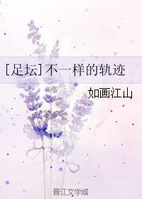 [足坛]不一样的轨迹封面