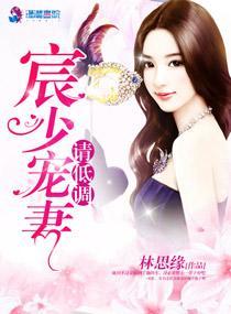 宸少宠妻请低调封面