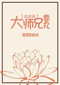 [综武侠]大师兄要丸封面