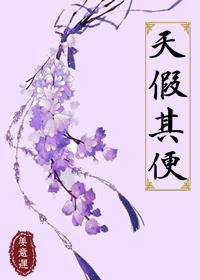 天假其便Ⅰ封面