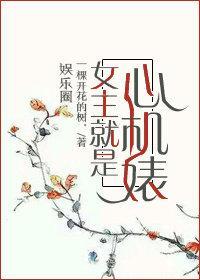 女主就是心机婊封面