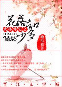 武林外史之花落知多少封面
