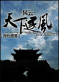 天下逐风封面