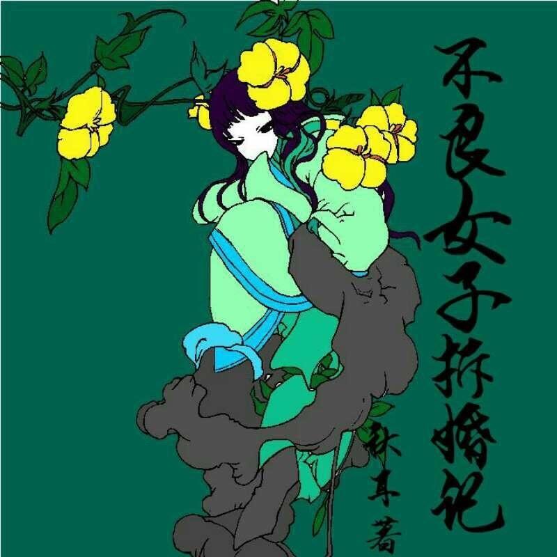 不良女子拆婚记封面