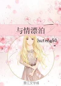 与情漂泊封面