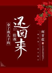 拿了我儿子的给我还回来封面