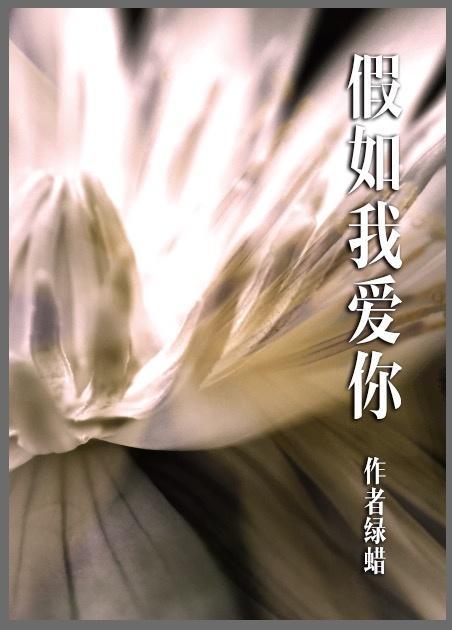 假如我爱你封面