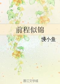 前程似锦封面