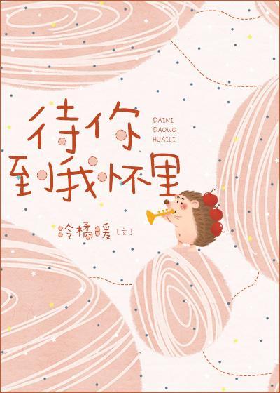 待你到我怀里封面
