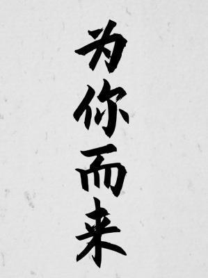 重生之为你而来封面