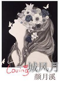 一城风月封面