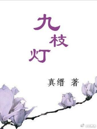 九枝灯封面