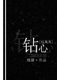 [综英美]钻心封面