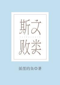 斯文败类封面