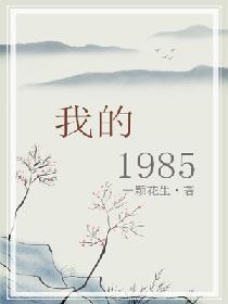 我的1985封面
