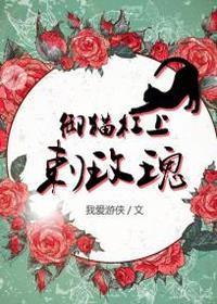 御猫杠上刺玫瑰封面