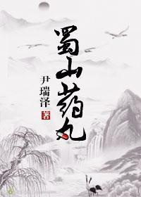 蜀山药丸封面