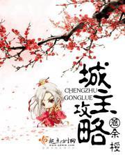 城主攻略封面