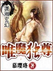 唯魔独尊封面