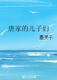唐家的儿子们封面