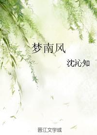 梦南风封面