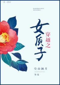 穿越之女质子封面