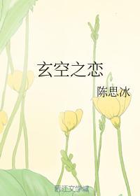 玄空之恋封面