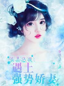 温柔总裁：遇上强势娇妻封面