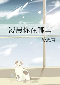 凌晨你在哪里封面