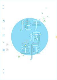 徒手摘星辰封面