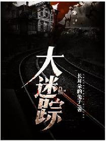 大迷踪封面