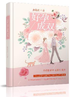 好孕成双封面