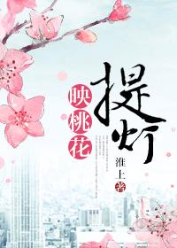 提灯映桃花封面