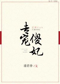 专宠傻妃封面