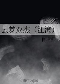 云梦双杰（江澄）封面